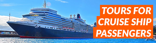 Cruise Ships Tours